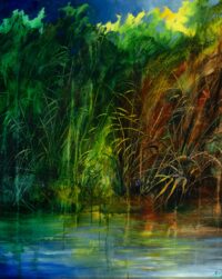 Riflessi