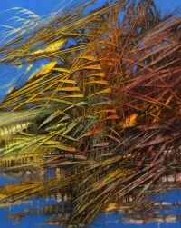 Riflessi